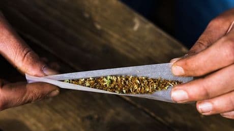 Zahl der Cannabissüchtigen steigt 2024 auf Höchststand
