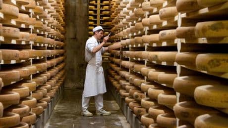 Ce que le débat sur le comté nous apprend sur le chauvinisme en France