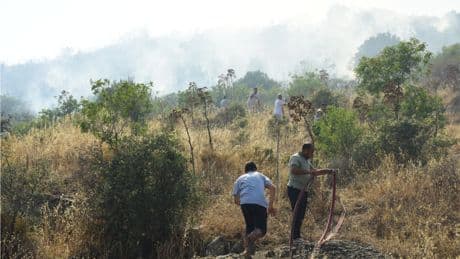 Muğla'da makilik ve zeytinlik alanda çıkan yangına müdahale ediliyor