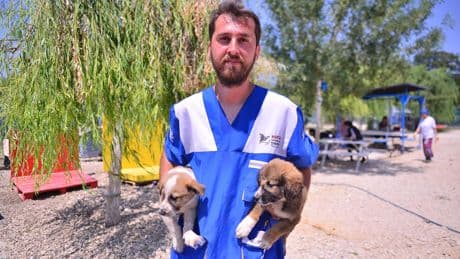 Eşek, keçi, horoz, kedi, köpek, civciv... İzmir'deki orman yangınından kurtarılan melekler, Bursa'da tedavi altında