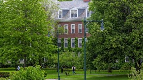 Nouvelle attaque contre Harvard de Donald Trump, qui veut mettre fin à tous les contrats de l’Etat fédéral avec l’université