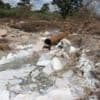 Chinese-linked mining firms sued over 'ecological catastrophe' in Zambia