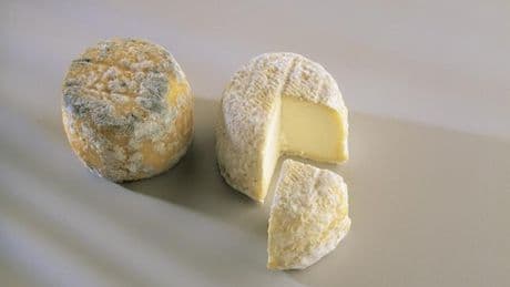 Le crottin de chavignol, quel fromage !