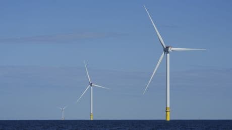 States sue Trump administration for blocking the development of wind energy