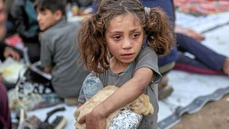 Gaza-Krieg | Offener Brief an Merz: Zu wenig und zu spät