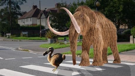 The woolly mammoth and a 30ft sea cow could all soon be back from the dead