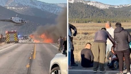 Seven dead after pickup and tour van collide near Yellowstone National Park, Idaho police say