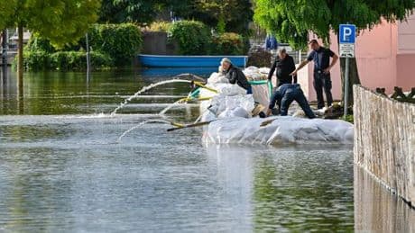 Voraussage: Studie: Schäden bei Hochwasser in Brandenburg wären hoch