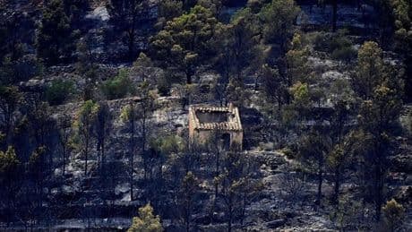 El Govern levanta el confinamiento de casi toda la población afectada por el incendio del sur de Tarragona
