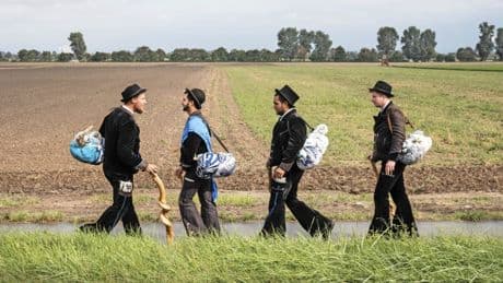 In Deutschland wird zünftig gewandert
