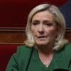 Marine Le Pen conteste en justice sa démission d'office comme conseillère départementale du Pas-de-Calais