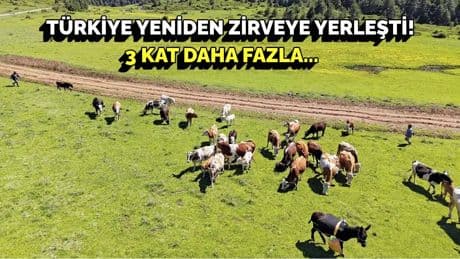 Türkiye yeniden zirvede! Avrupa’yı üçe katladı: Fiyatlar düşüşe geçecek