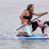 Images show dogs and their owners paddleboarding for a fun event on England's south coast