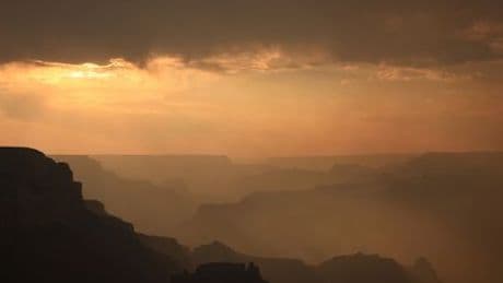 Arizona: Verheerende Waldbrände im Nationalpark Grand Canyon