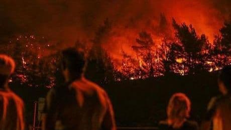 İzmir'de orman yangınına neden olan kaynak ustası tutuklandı