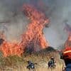 Wildfires burn through the night in Eastern Europe as over 50 blazes in Greece alone sees families evacuated from their homes