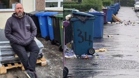 'A massive rat infestation in my area is causing my driveway to sink'