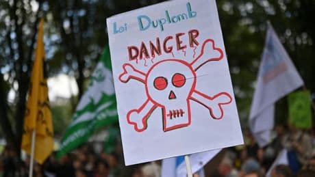 Loi Duplomb: l'acétamipride, l'insectide au coeur du débat, est-il dangereux pour la santé humaine?
