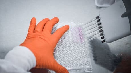 Study finds organised scientific fraud is now a booming industry