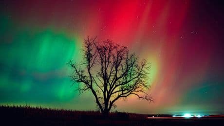 Get Ready For 50 Years Of Intense Northern Lights, Scientists Say