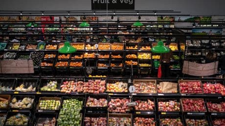 Border checks on fruit and vegetable imports from EU scrapped
