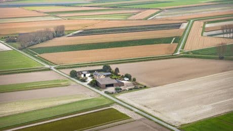 NGT, une technique prometteuse qui reste cantonnée à la recherche fondamentale