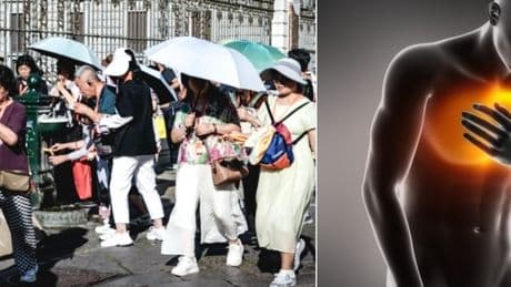 Caldo, il cardiologo Rebuzzi: «Può uccidere. L?abbassamento della pressione causa aritmie gravi»