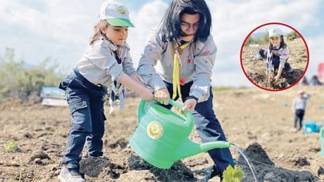 Endişeler giderildi! Taşınan zeytinlik için iki kat fidan şartı