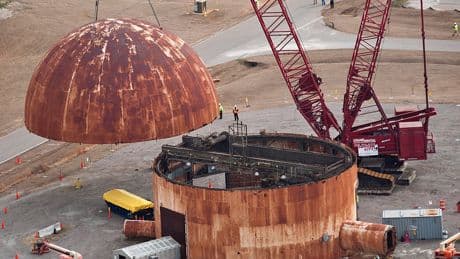 Radioactive Wasps Found at Nuclear Site in South Carolina Could Be a ‘Red Flag,’ Expert Says