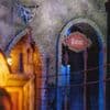 Efteling-attractie Danse Macabre weer geopend na dagenlange storing