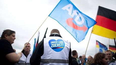 Grüne wollen Verbotsverfahren - Macht diese Debatte die AfD noch stärker?