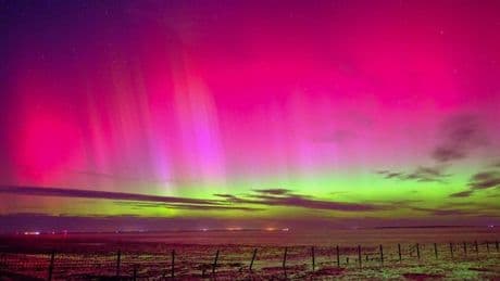 Forscher beobachten Sonnensturm: Polarlichter am Wochenende möglich