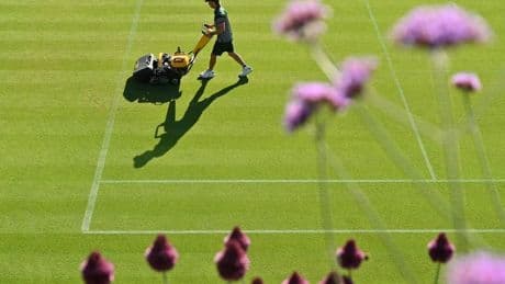 What Goes Into Wimbledon’s Grass Court Speed ?