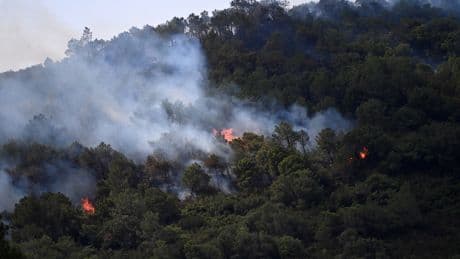Chaleur, canicule, incendies… À quoi doit-on s’attendre cet été ?