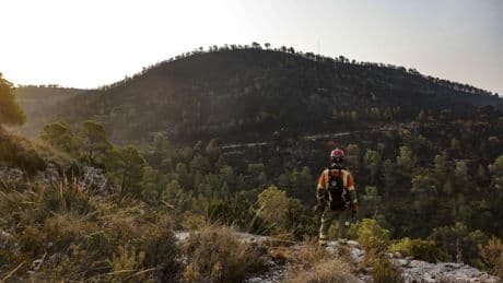 Los bomberos extinguen el incendio forestal declarado en Xàtiva