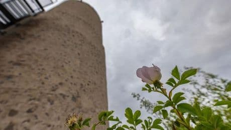 Wetter: Schauer und Gewitter in Rheinland-Pfalz und dem Saarland