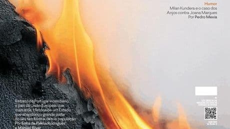 Troubles psychiatriques, alcool, vandalisme : portrait des incendiaires du Portugal