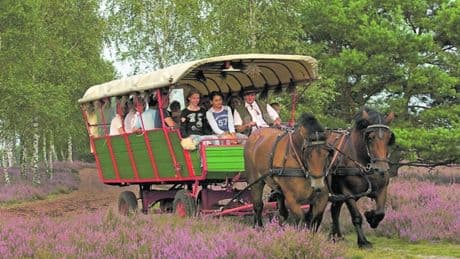 Familienausflug - Landpartie auf dem Zwergensteinpfad