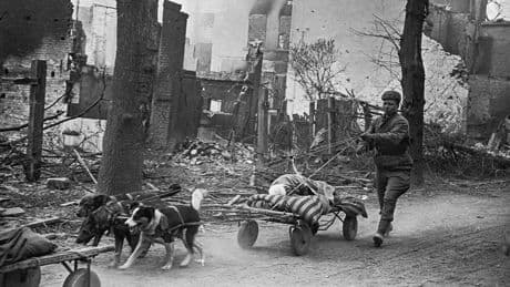 Durch Zufall entdeckt: Diese verschollenen Bilder zeigen den Zweiten Weltkrieg aus Sowjetsicht