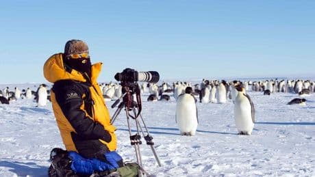 Sir David Attenborough's Scots cameraman backs groundbreaking 'ecocide' law