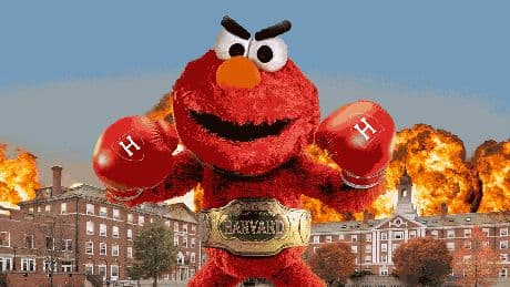Druck | Harvard vs. Trump: Warum die älteste Universität der USA Elmo in den Ring schickt