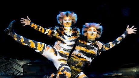 BILDplus Gewinnspiel  - Gewinnen Sie Musical-Tickets für CATS!