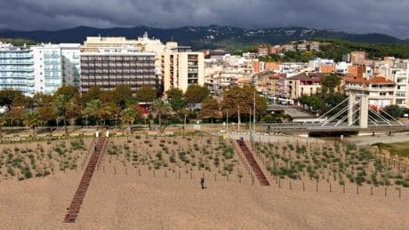 Calella naturaliza las playas Gran y de Garbí