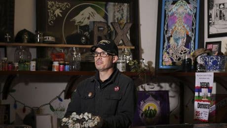 Believers say microdosing psychedelics helps them. Scientists are trying to measure the claims