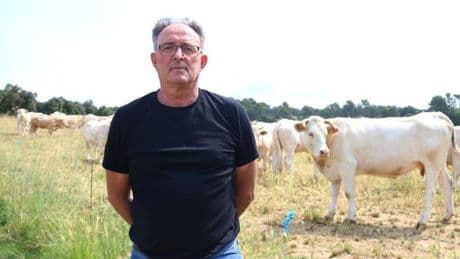 Catalunya extrema los controles tras detectar tres focos de tuberculosis bovina