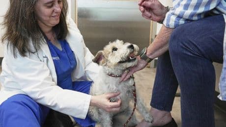 Dogs and cats can also suffer from allergies, but there are ways to help our furry friends
