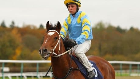 Jockey Levi Williams in court charged with murder of pensioner after fight outside pub