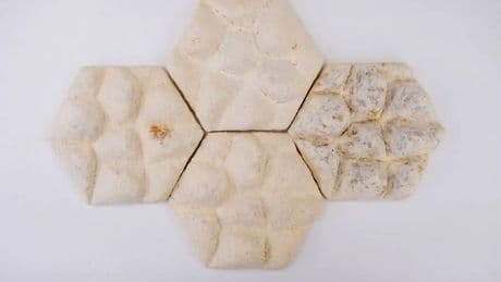 El invento que enfría la casa sin gastar energía: un azulejo vivo con piel de elefante