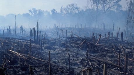 « Dépasser le capitalisme, pas les limites planétaires » : l’ensemble des ressources naturelles de la Terre pour l’année 2025 ont déjà été consommées