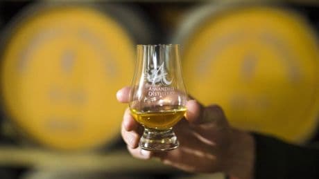 Whisky waste and fungi turned into compostable packaging